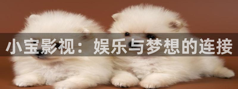 天堂影院下载：小宝影视：娱乐与梦想的连接