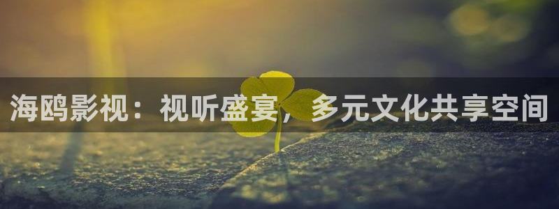 老司机天堂电影院