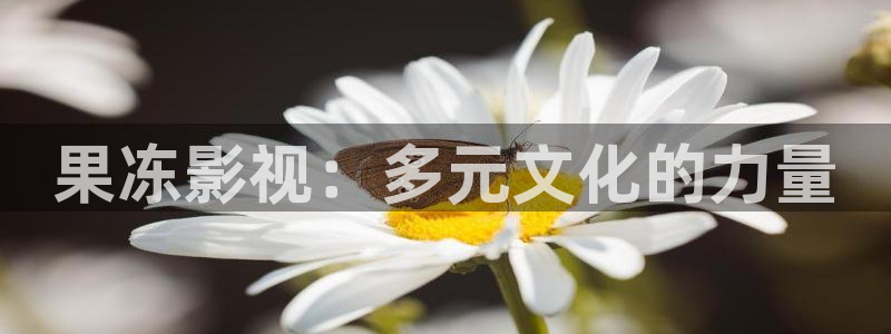 天堂影院在线免费观看电影：果冻影视：多元文化的力量